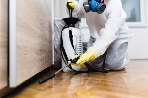 Best Local Pest Control Services  in Country Squire Lakes, IN