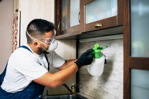 Best Termite Control Services  in Country Squire Lakes, IN