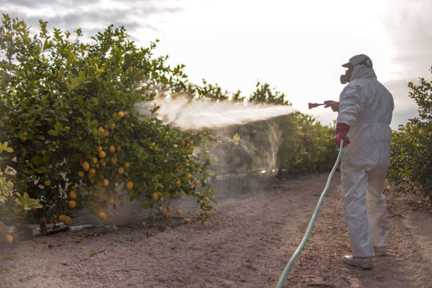 Best Pest Prevention Services  in Country Squire Lakes, IN