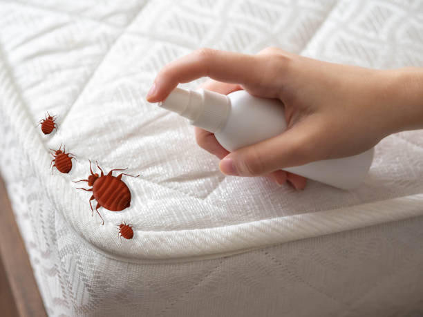 Best Insect Control  in Country Squire Lakes, IN