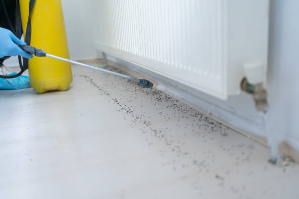 Best Wasp Removal Services  in Country Squire Lakes, IN