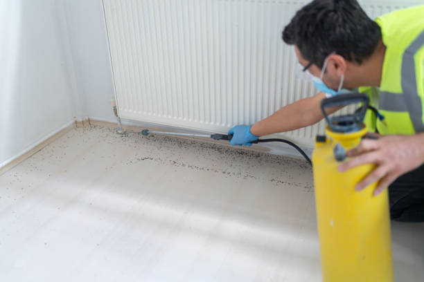 Best Flea Control Services  in Country Squire Lakes, IN