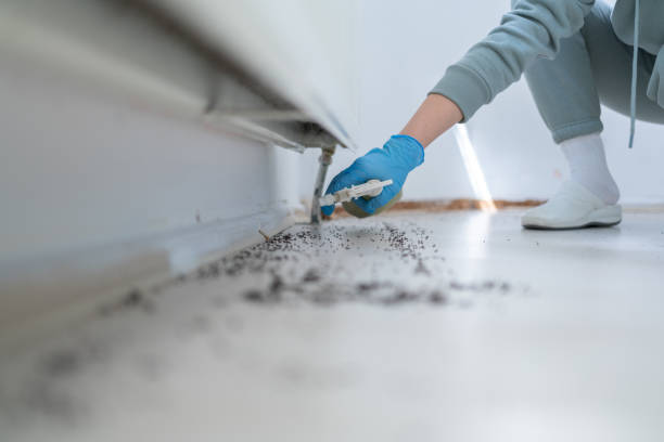 Best Best Pest Control Companies  in Country Squire Lakes, IN