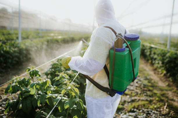 Best Best Pest Control Companies  in Country Squire Lakes, IN